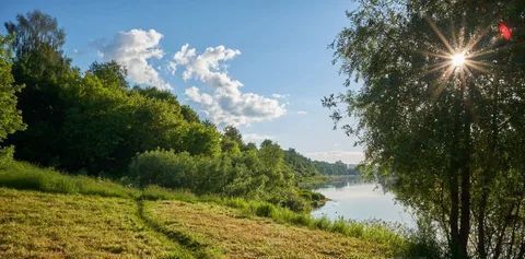 земля р-н Смоленский с Каспля-2 ул Школьная 32 фото 4