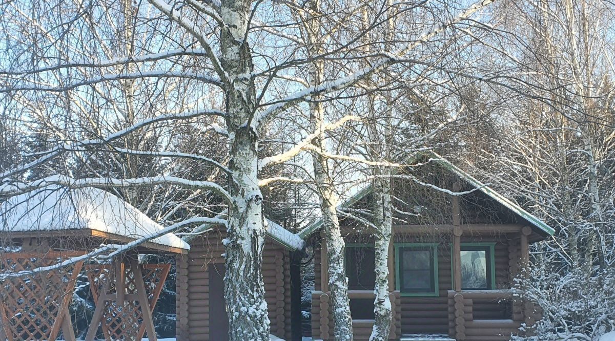 дом городской округ Наро-Фоминский д Башкино снт Гамби 120, д. Рождество фото 38