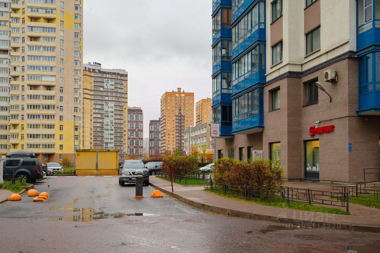 квартира г Санкт-Петербург пр-кт Кузнецова 11/3 Ленинградская область фото 25