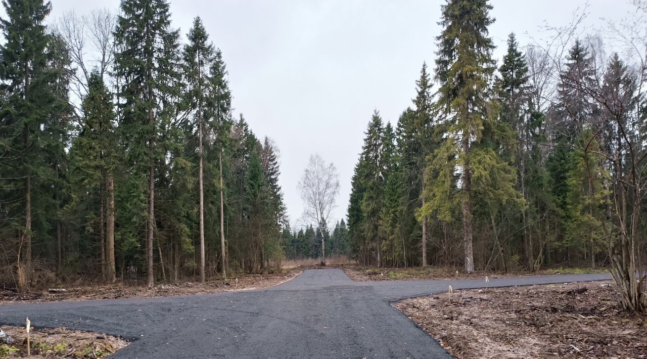 земля городской округ Дмитровский д Дмитровка Рождествено, Рогачёвское шоссе фото 3