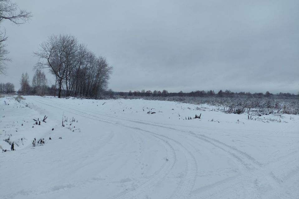 земля городской округ Орехово-Зуевский д. Кудыкино фото 1