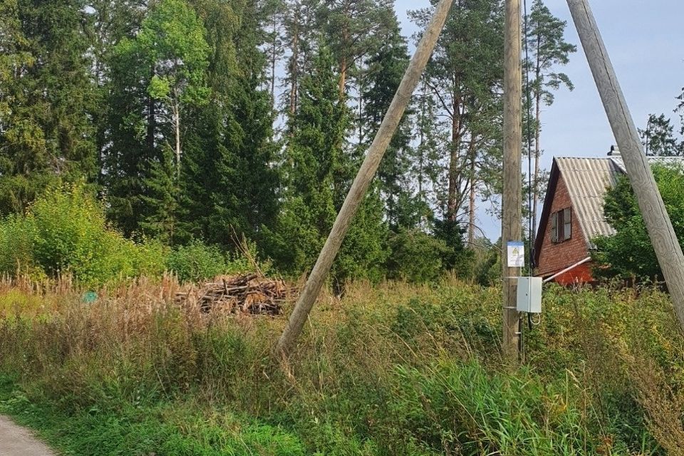 земля р-н Приозерский фото 1