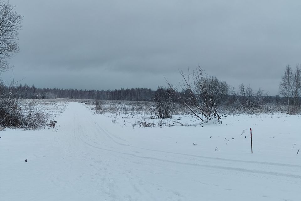 земля городской округ Орехово-Зуевский д. Кудыкино фото 3