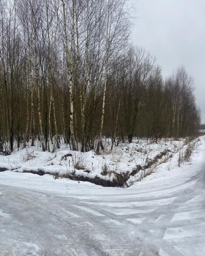 земля городской округ Раменский 44 км, коттеджный пос. Эковита-Аква, Бронницы, Новорязанское шоссе фото 9