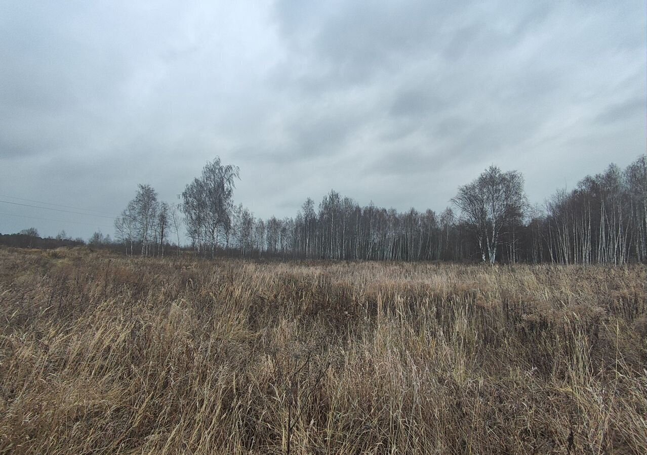 земля городской округ Орехово-Зуевский д Давыдово 61 км, территория Песчаная, 2, Егорьевское шоссе фото 10