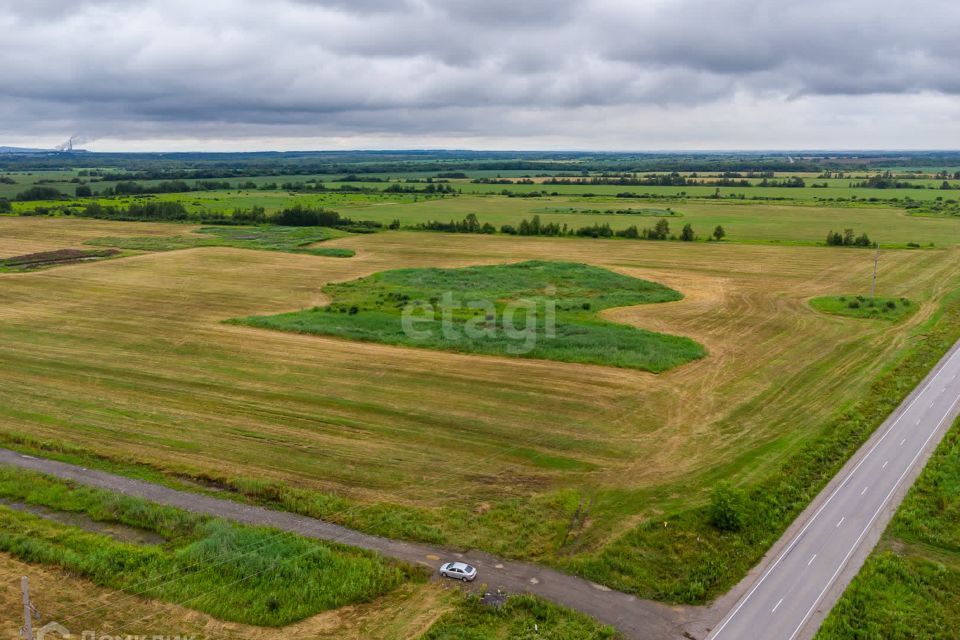 земля р-н Хабаровский село Тополево фото 4