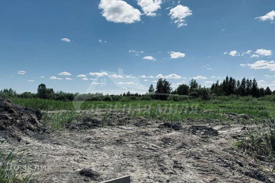 земля г Тюмень Тюмень городской округ, Березняковская фото 2