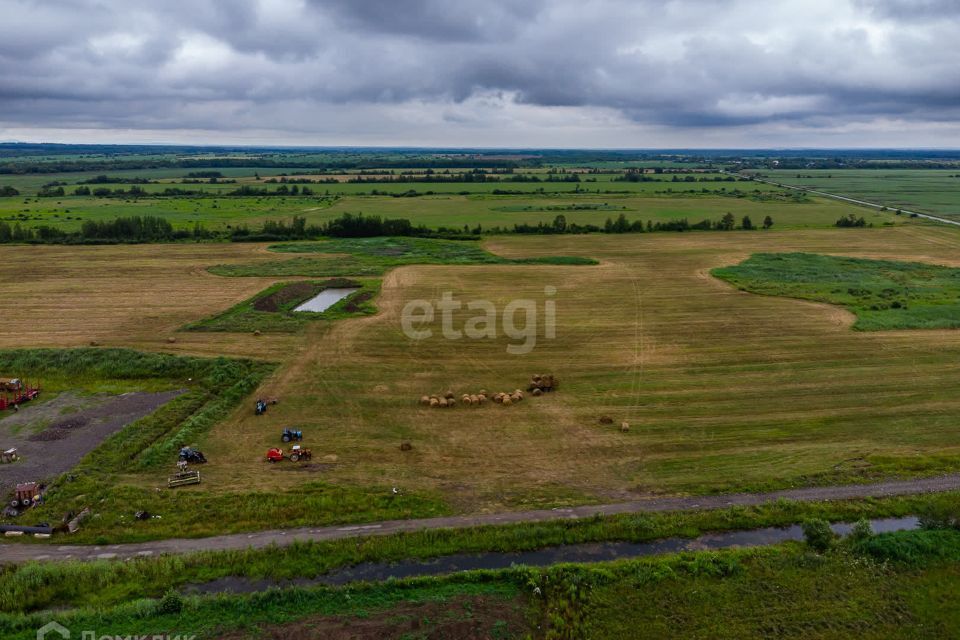 земля р-н Хабаровский село Тополево фото 5