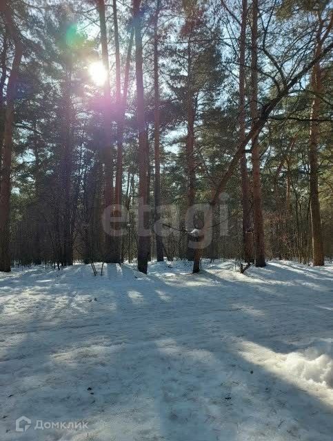 квартира г Люберцы ул Кирова 3 Люберцы городской округ фото 8