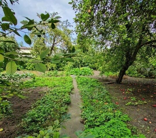 р-н Ленинградский снт Чайка пер Новый 3 фото