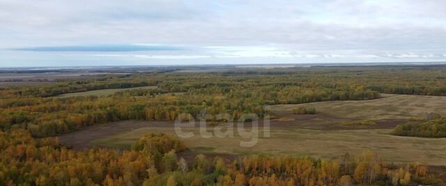 офис р-н Тюменский с Перевалово 10 фото