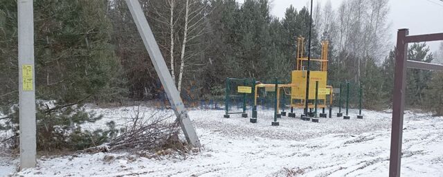 д Непецино ул Лесная 28 Богородск фото