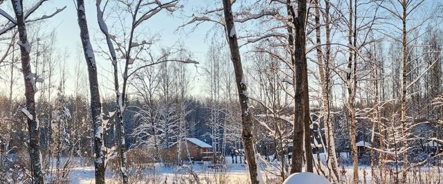 метро Проспект Просвещения Про Левашово кп фото