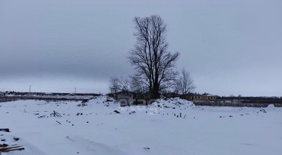 земля р-н Лаишевский с Державино Державинское сельское поселение фото 1