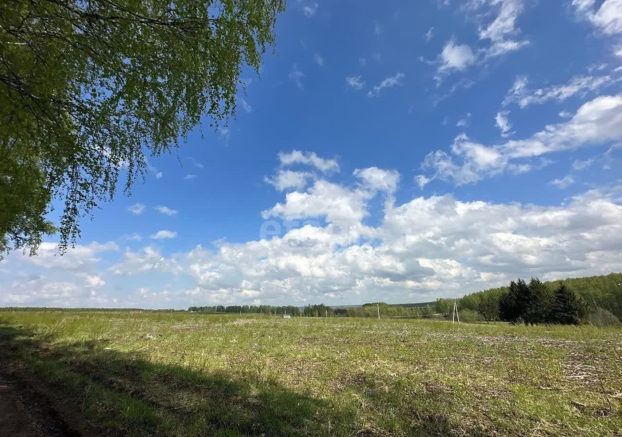 земля р-н Богородский д Килелей Буревестник фото 11