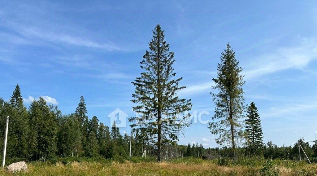 земля р-н Всеволожский снт тер.У Лукоморья Агалатовское с/пос фото 11