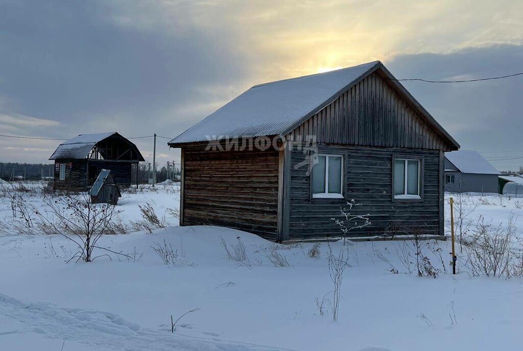 земля р-н Черепановский г Черепаново мкр Южный городское поселение Черепаново фото 1