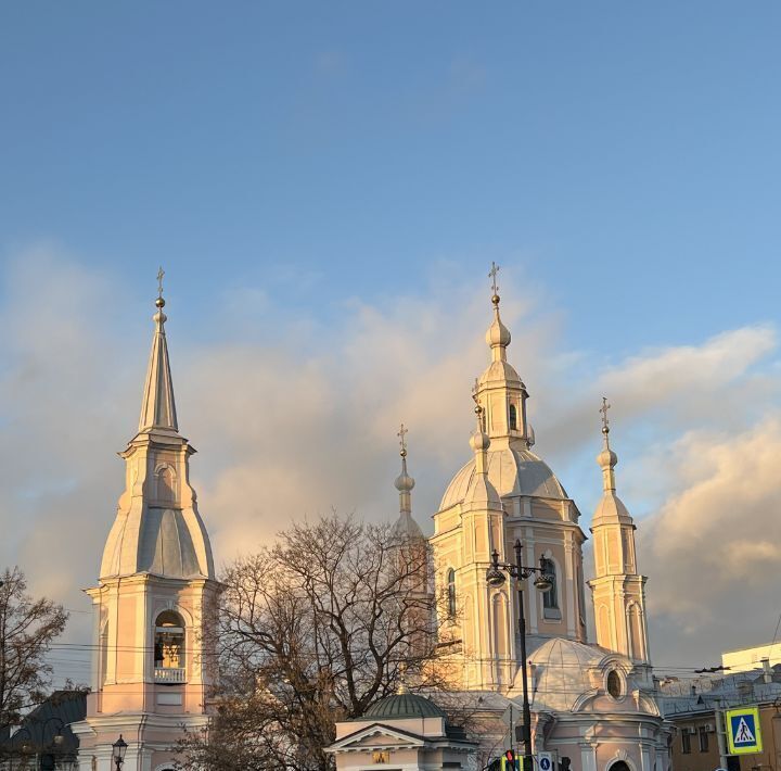 квартира г Санкт-Петербург метро Василеостровская 4-я Васильевского острова линия, 5 фото 4