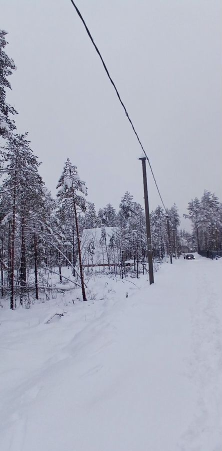 земля р-н Всеволожский г Всеволожск Мурманское шоссе, 13 км, Всеволожское городское поселение, территория СОСН Раздолье, Лютиковая ул фото 6