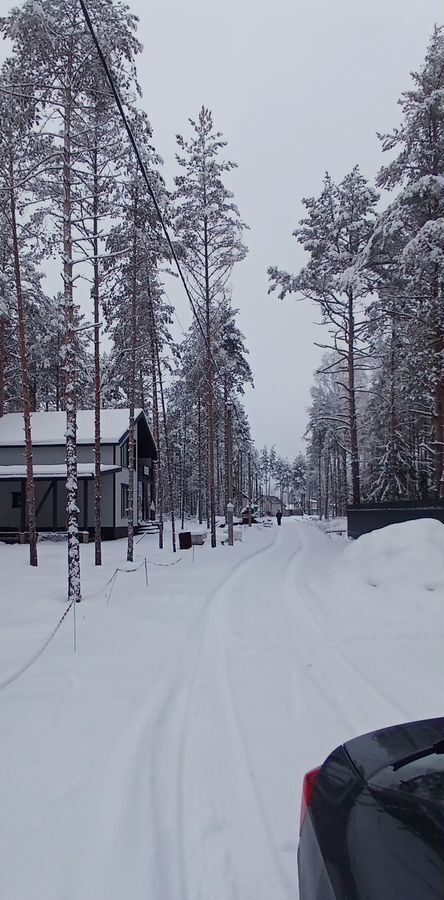 земля р-н Всеволожский г Всеволожск Мурманское шоссе, 13 км, Всеволожское городское поселение, территория СОСН Раздолье, Лютиковая ул фото 9