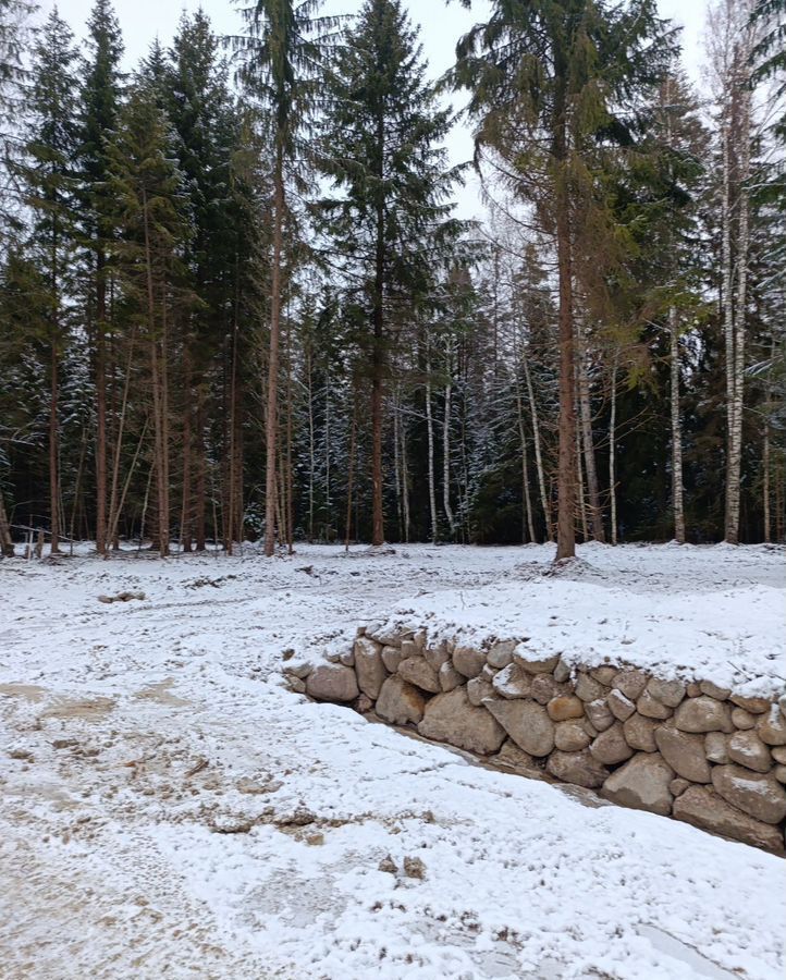 земля р-н Приозерский п Саперное Трасса Сортавала, 77 км, Ромашкинское сельское поселение, садовое некоммерческое товарищество Ромашкинские усадьбы фото 11