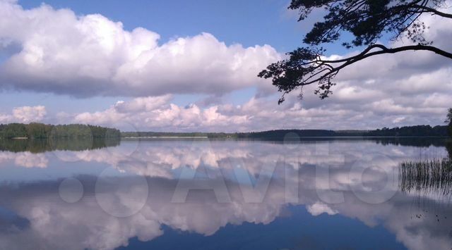 р-н Невельский д Ратьково фото