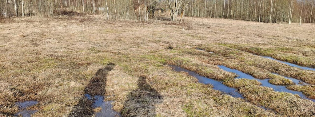 земля р-н Новгородский д Неронов Бор Ракомское сельское поселение фото 3