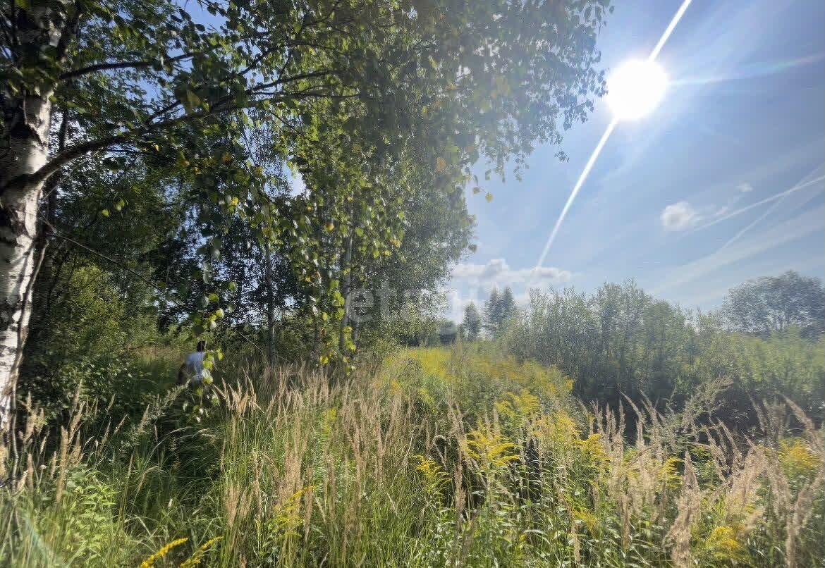 земля р-н Богородский д Оринкино Богородск фото 3