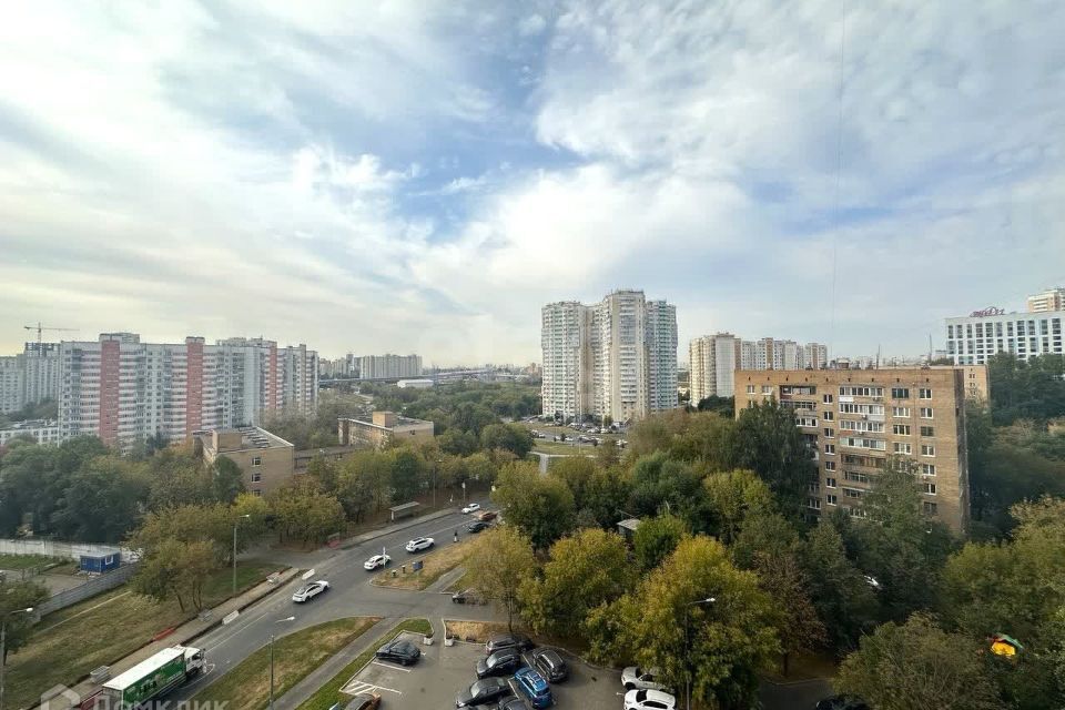 квартира г Москва пр-кт Пролетарский 9 ул Москворечье Южный административный округ фото 9