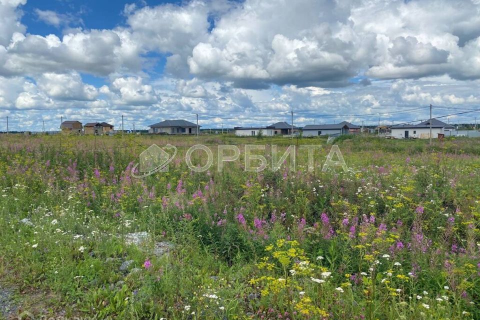 земля р-н Тюменский село Каменка фото 3