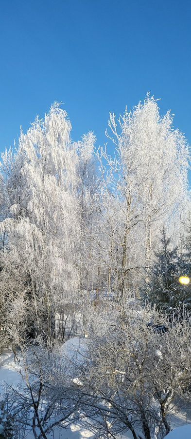 дом городской округ Дмитровский с Игнатово 31 км, 242, Икша, Дмитровское шоссе фото 28