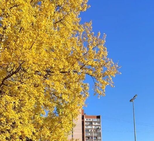 комната метро Гражданский Проспект дом 128к/2 фото