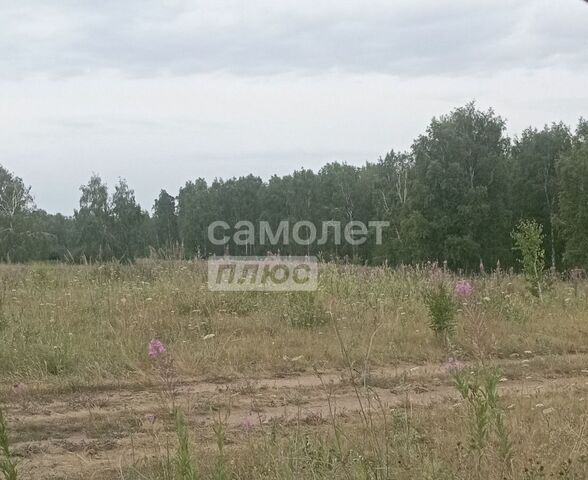 земля Алишевское сельское поселение, Полетаево фото