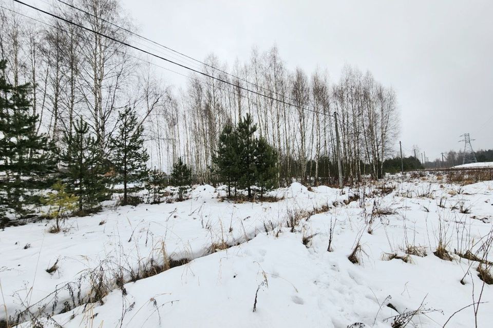 земля городской округ Воскресенск рп. им. Цюрупы фото 3