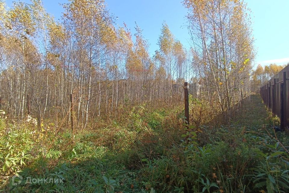 земля р-н Белоярский Белоярский городской округ фото 3