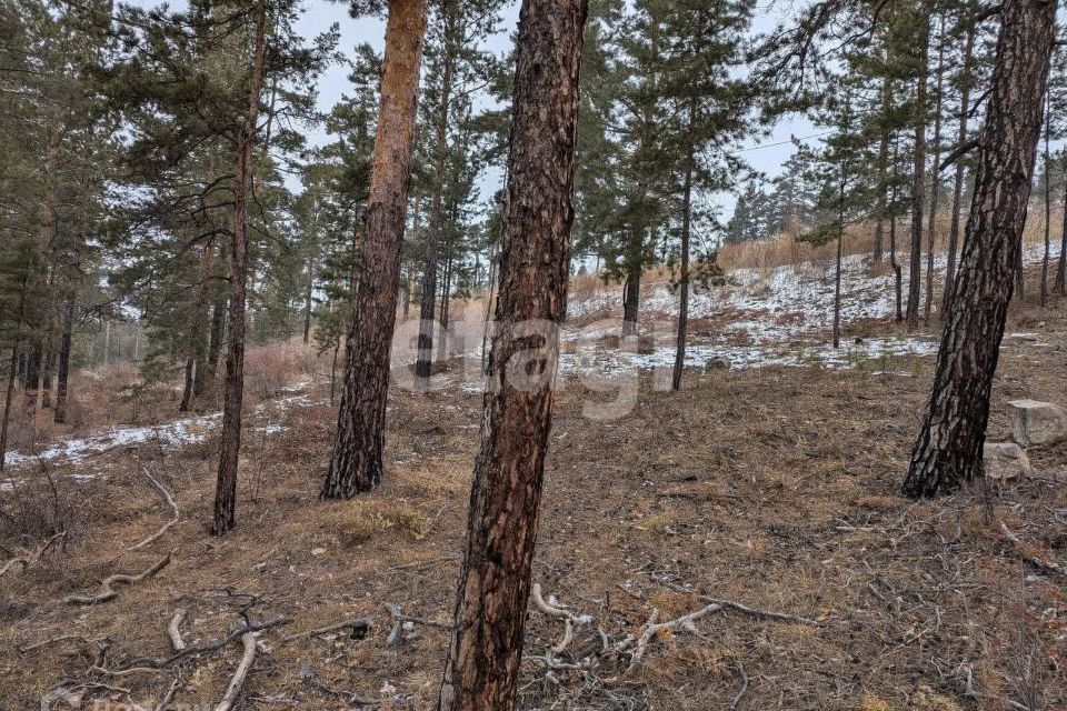 земля г Улан-Удэ р-н Железнодорожный Улан-Удэ городской округ, Аршан фото 3