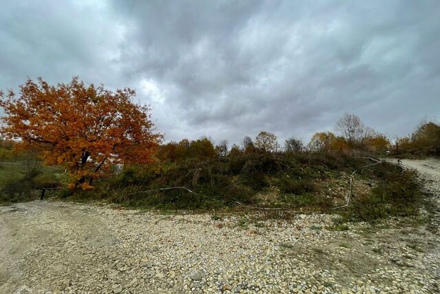 Геленджик городской округ, ДНТ Океан фото