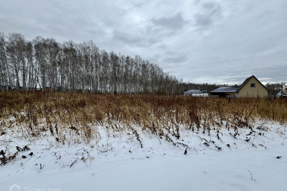 земля р-н Сосновский с Большие Харлуши Южные ключи м-н фото 1