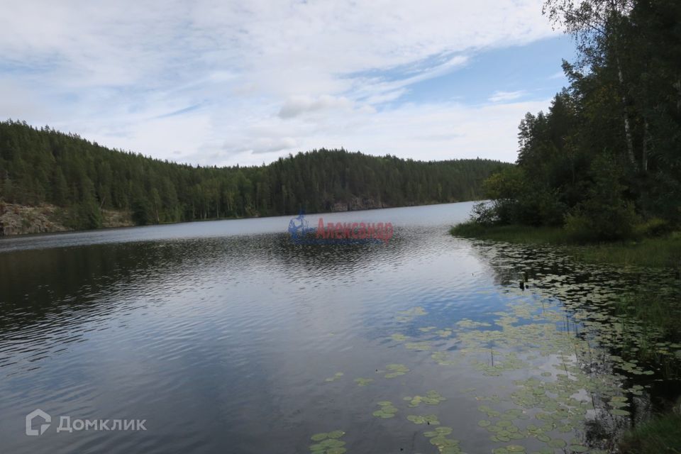 земля р-н Лахденпохский Национальный парк Ладожские шхеры фото 7