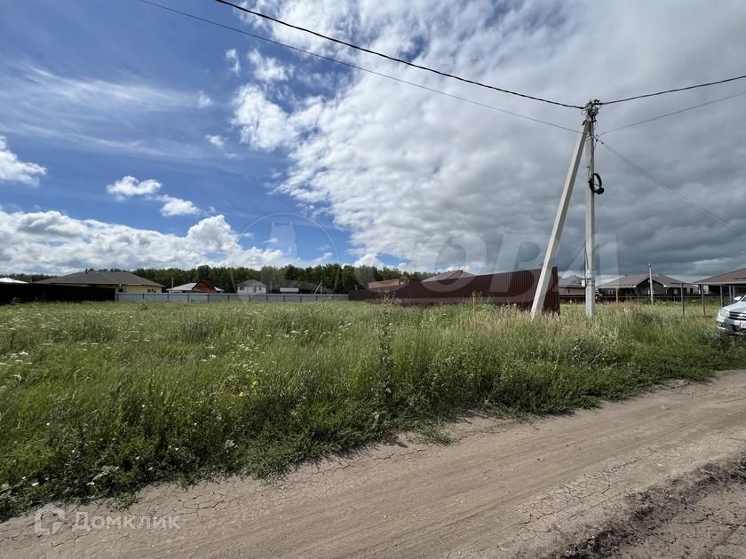 земля р-н Тюменский с. Луговое фото 3