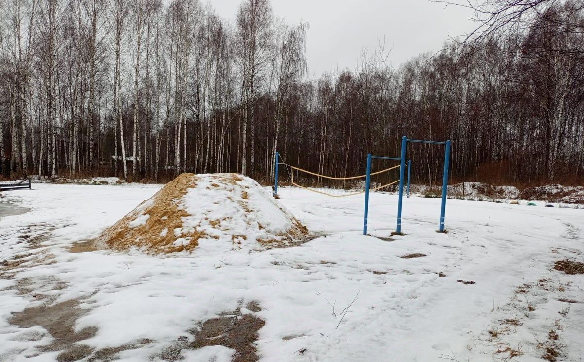 дом городской округ Орехово-Зуевский Родник садовое товарищество фото 11