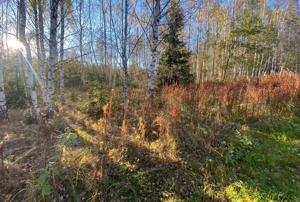 земля городской округ Можайский д Петраково фото 1