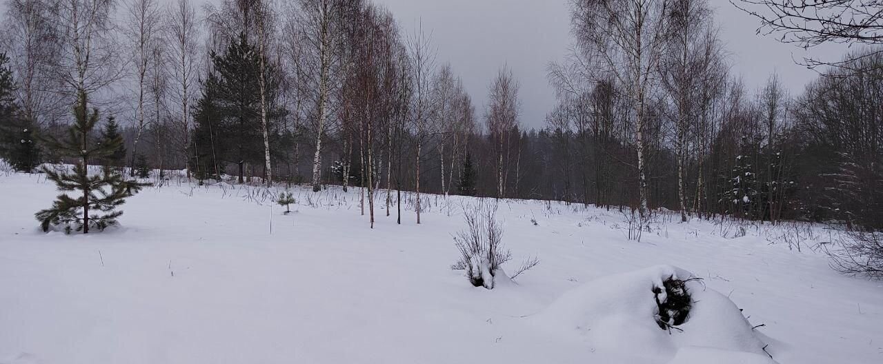 земля городской округ Одинцовский г Звенигород 36 км, д. Сурмино, Новорижское шоссе фото 13