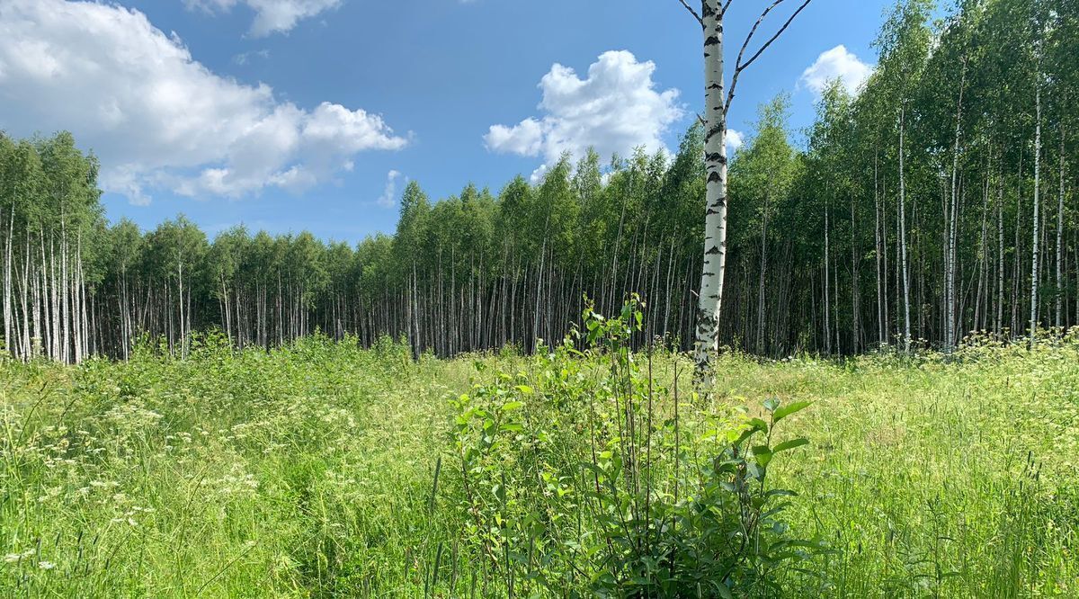 земля Переславль-Залесский городской округ, д. Подберезье фото 7