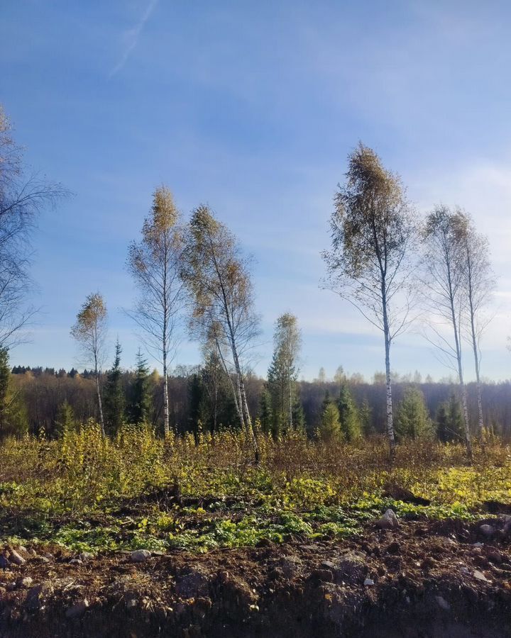 земля городской округ Клин 57 км, коттеджный пос. Малахитовые дачи, Клин, Ленинградское шоссе фото 1