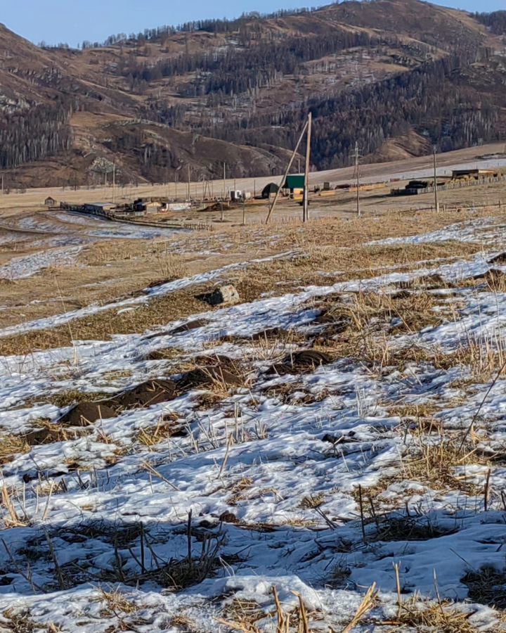 земля р-н Усть-Канский с Черный Ануй Алтайский край, Солонешное фото 6