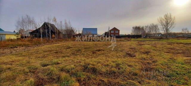 р-н Калининский Пашино ул Вересковая фото