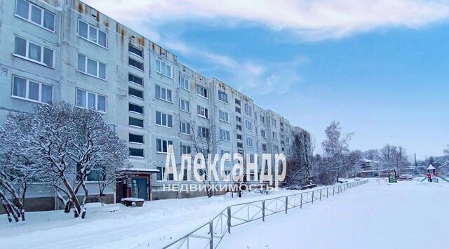 п Михалево Каменногорское городское поселение, ул. Новая, 2 фото