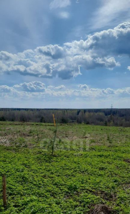 земля р-н Череповецкий д Полуево Югское муниципальное образование фото 1