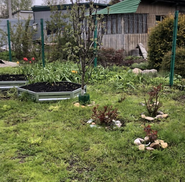 земля городской округ Дмитровский рп Некрасовский Хлебниково, Надежда СНТ фото 2